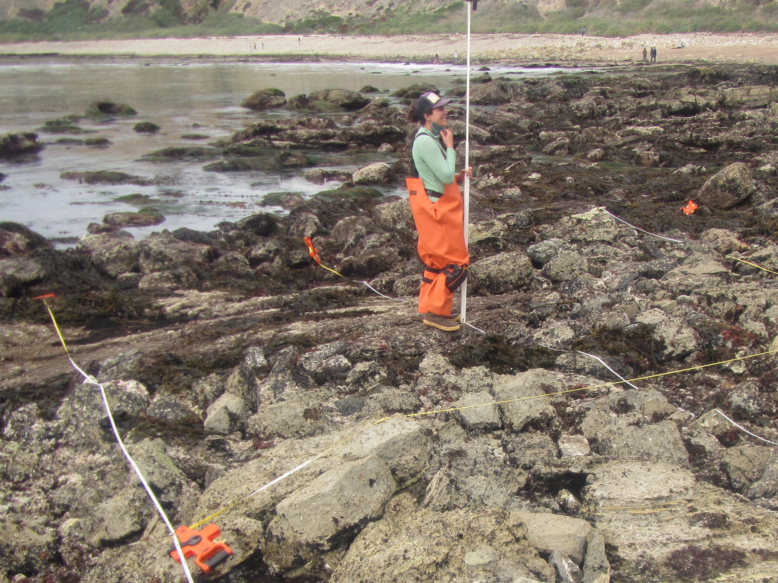 Lunada Bay long-term monitoring overview