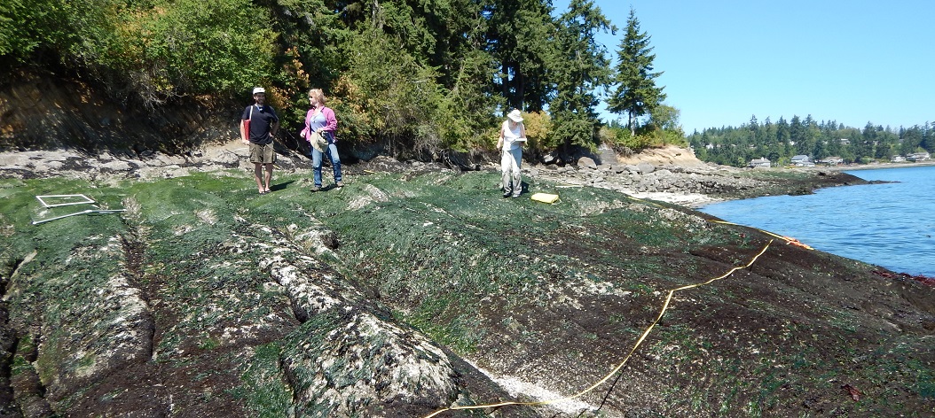 Manchester State Park; Central Puget Sound long-term monitoring overview