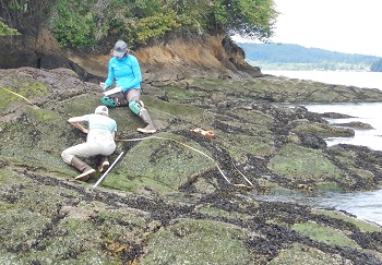 Manchester State Park; Central Puget Sound long-term monitoring detail