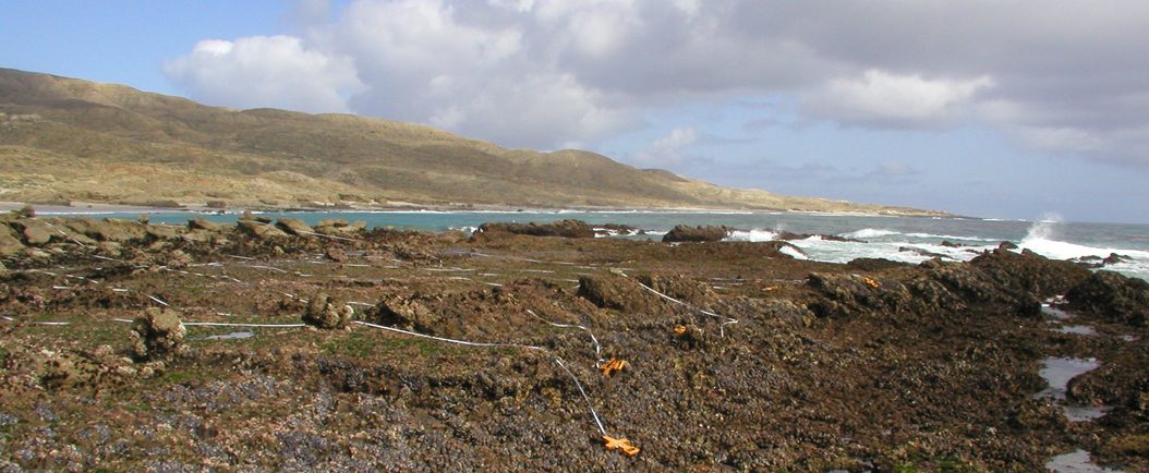 Marker Poles biodiversity survey overview