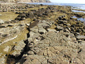 Navy North long-term monitoring closeup