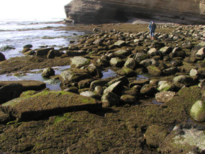 Navy South long-term monitoring closeup