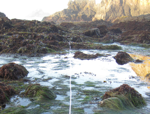 North Jenner Beach long-term monitoring overview