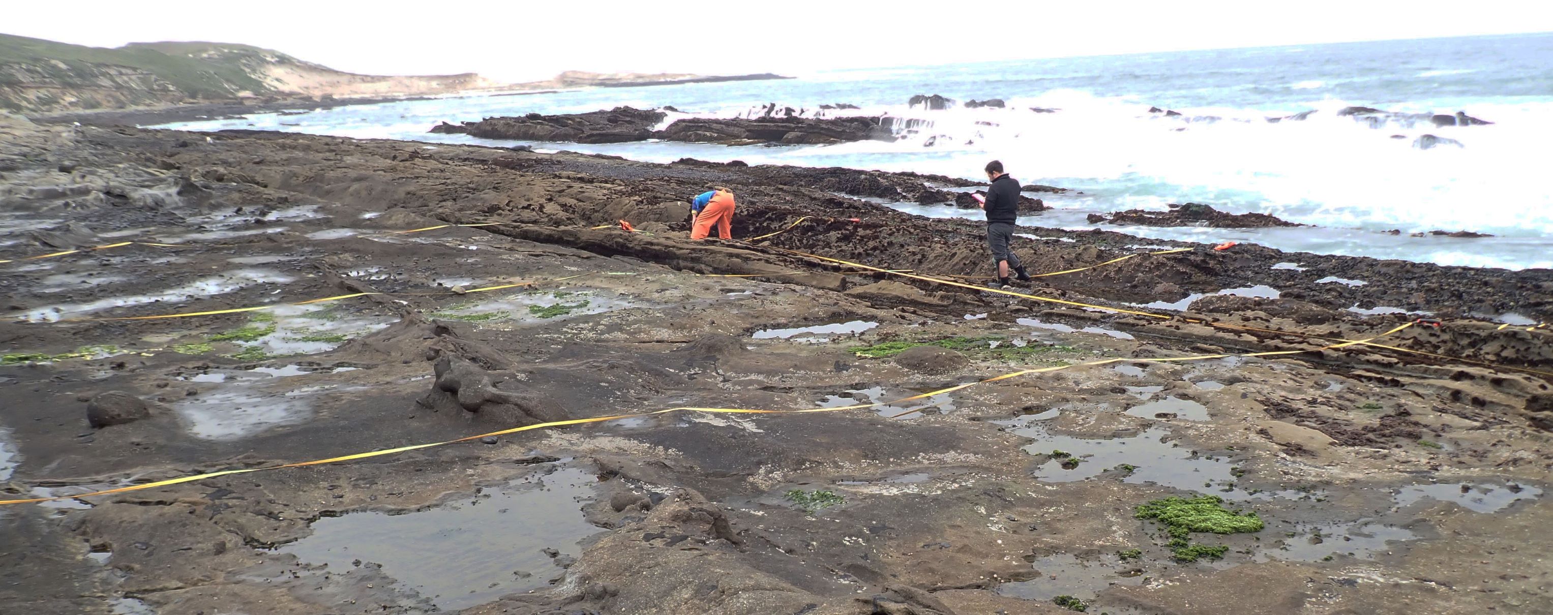 Otter Harbor biodiversity survey overview