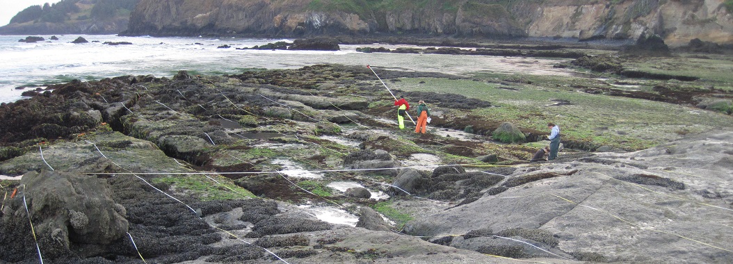 Otter Rock biodiversity survey overview