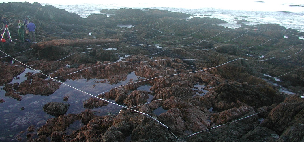 Palmerston biodiversity survey overview