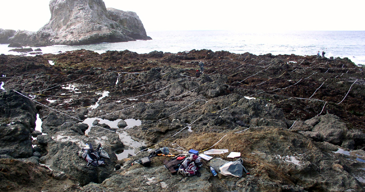 Piedras Blancas biodiversity survey overview