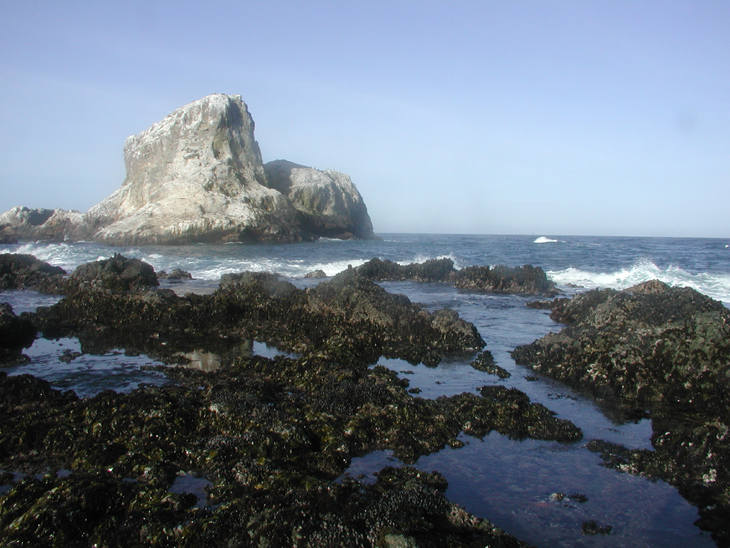 Piedras Blancas long-term monitoring overview