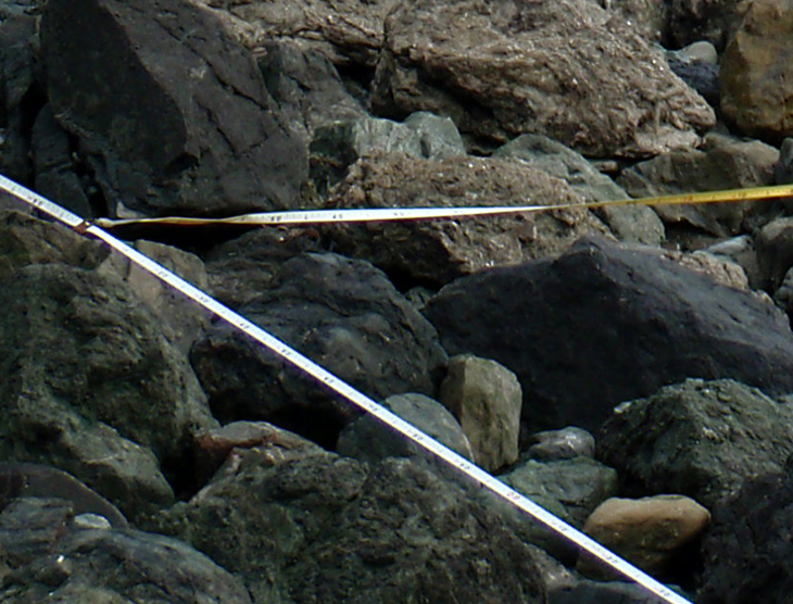 Point Blunt closeup