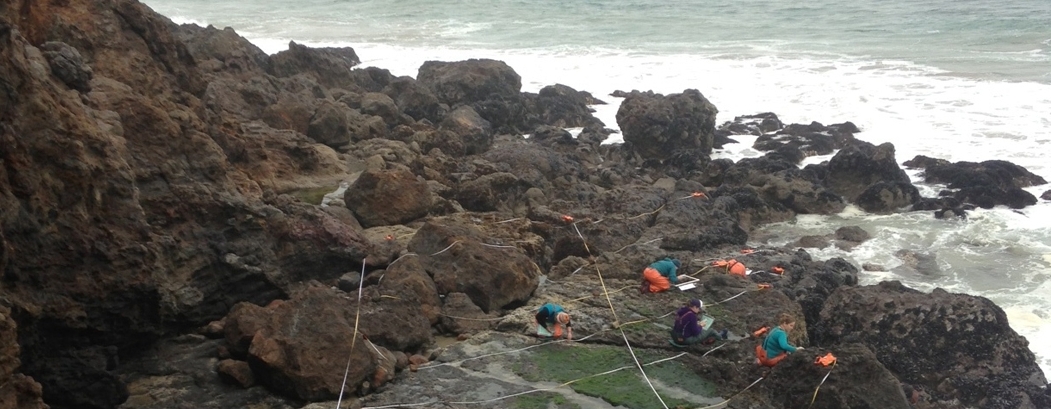 Point Dume biodiversity survey overview