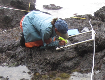 Point Dume long-term monitoring overview