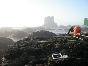 Point Grenville long-term monitoring overview