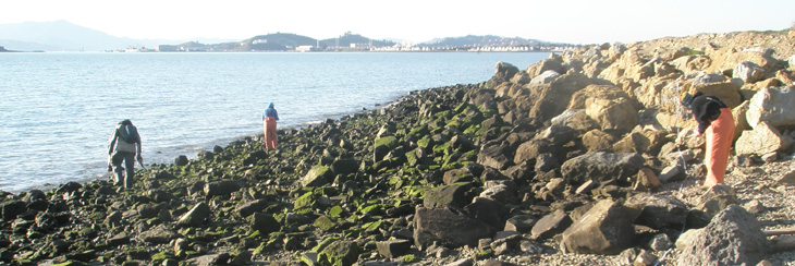 Point Isabel overview