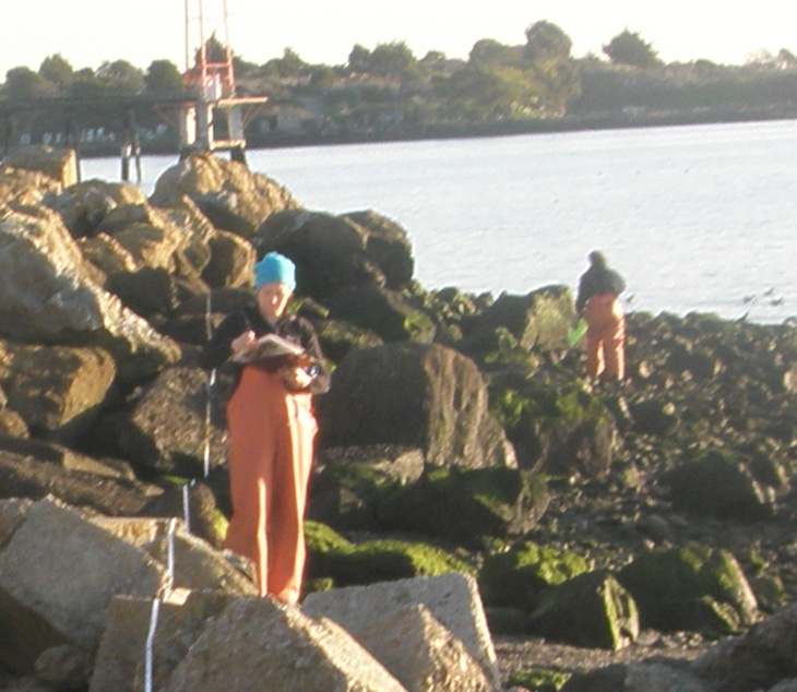 Point Isabel closeup