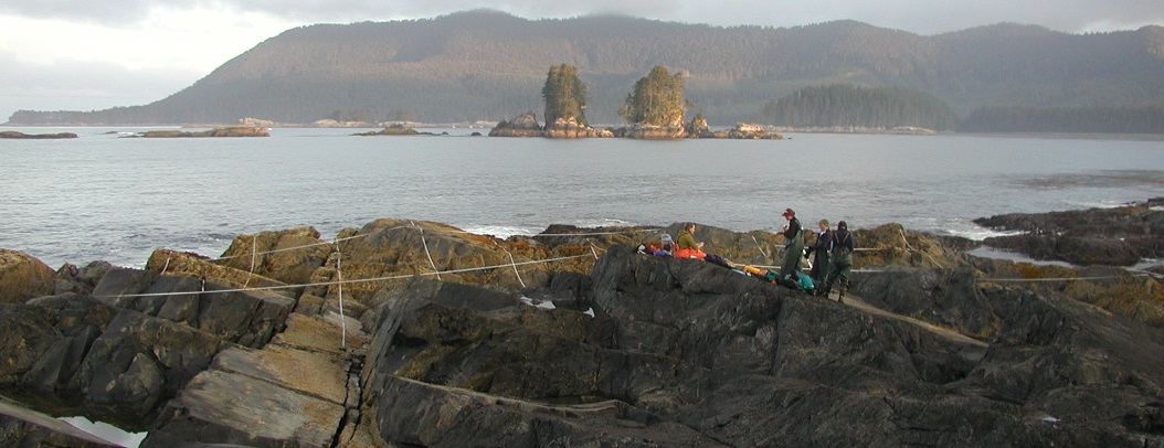 Port Mary biodiversity survey overview