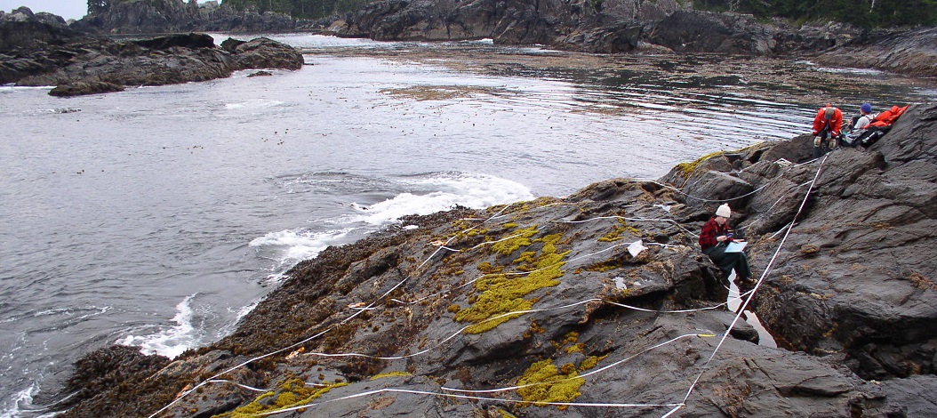 Puffin Bay biodiversity survey overview