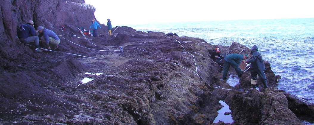 Punta Cerro Prieto biodiversity survey overview