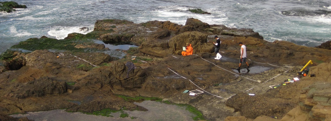 Punta Prieta biodiversity survey overview