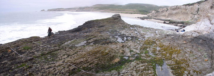 Sandhill Bluff biodiversity survey overview