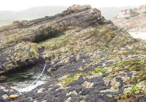 Sandhill Bluff long-term monitoring overview