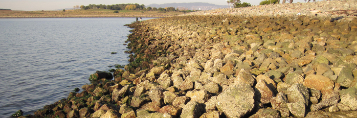 San Leandro Marina overview