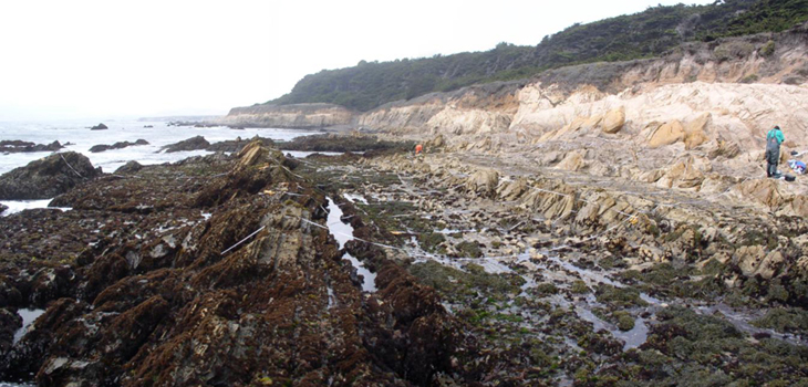 San Simeon Point biodiversity survey overview