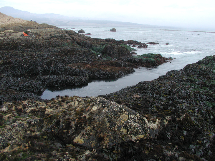 San Simeon Point long-term monitoring overview