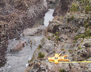 Saunders Reef long-term monitoring overview