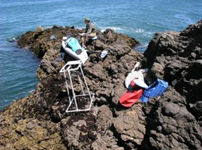 Scorpion Rock long-term monitoring closeup