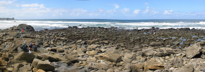 Scripps Reef biodiversity survey overview