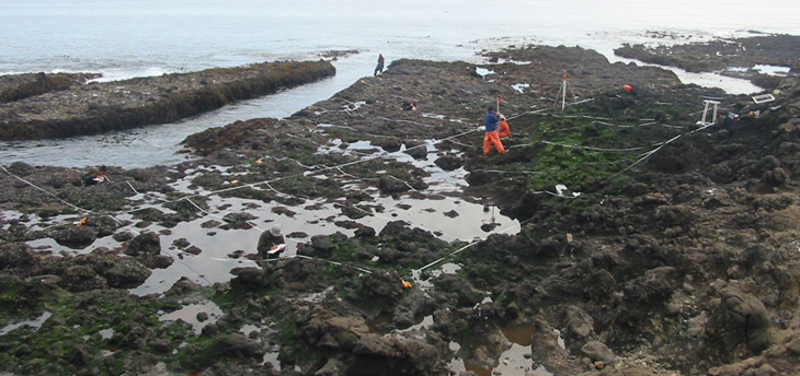 Sea Lion Rookery biodiversity overview