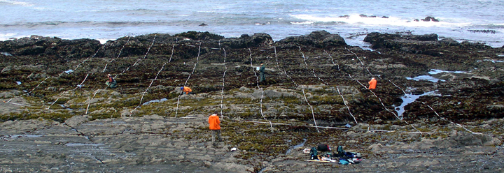 Sea Ranch biodiversity survey overview