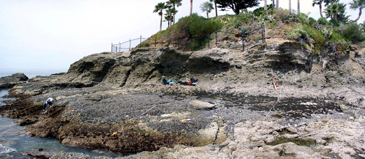 Shaws Cove biodiversity survey overview