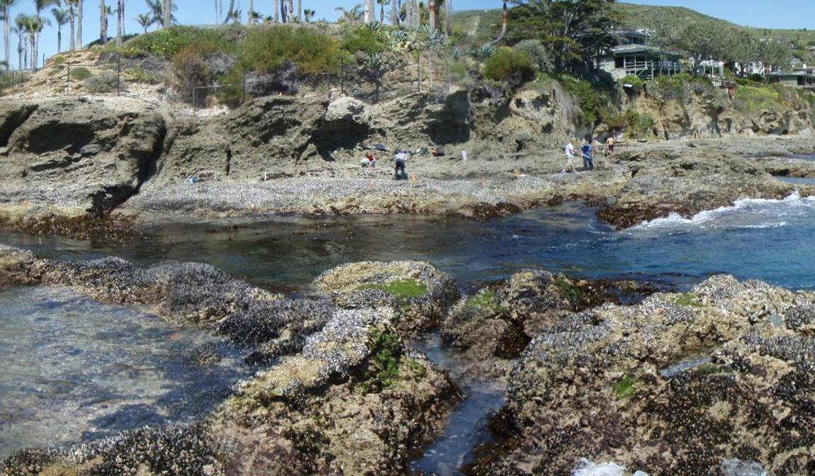 Shaws Cove long-term monitoring overview