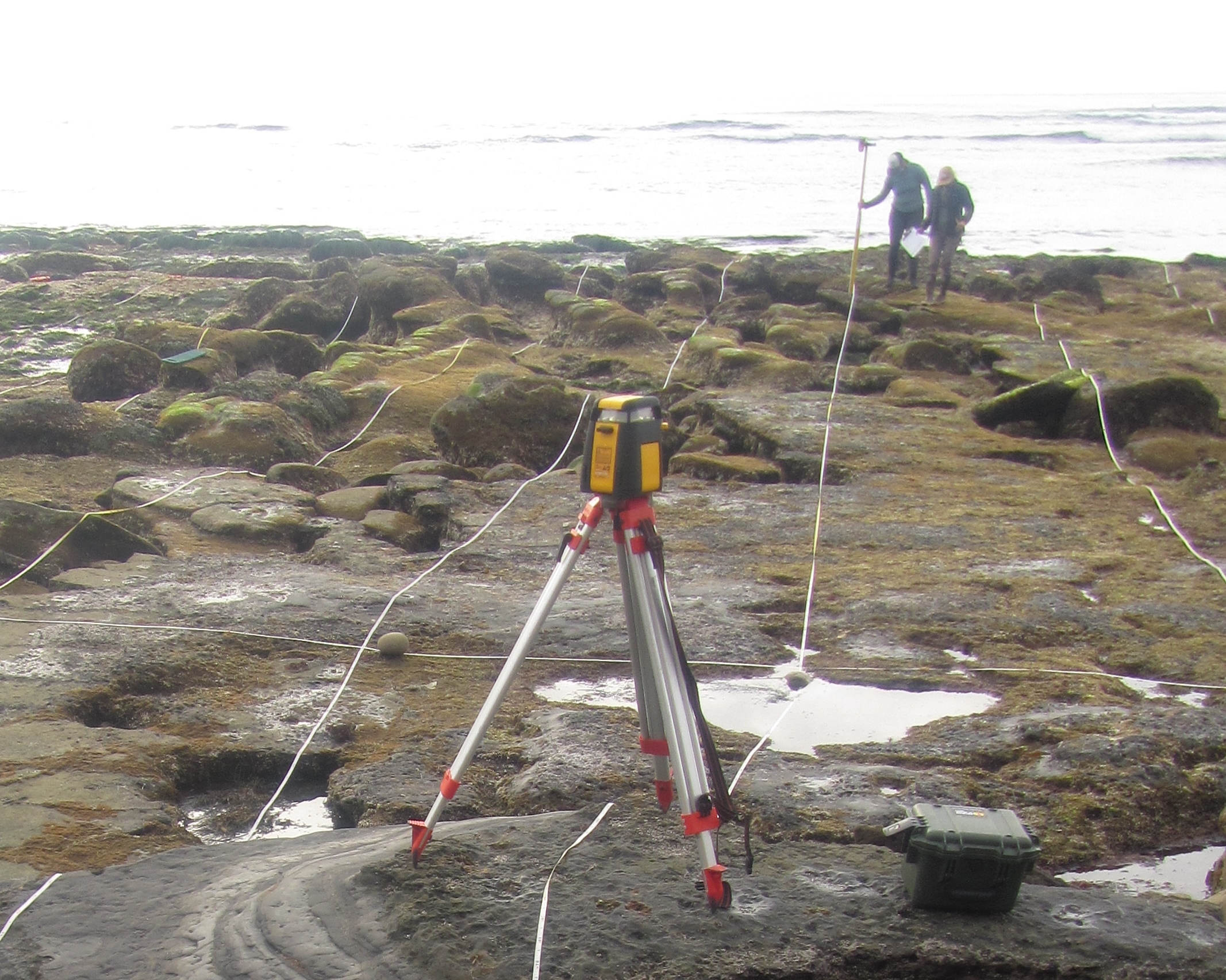 Sunset Cliffs long-term monitoring overview