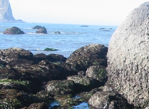 Taylor Point long-term monitoring closeup