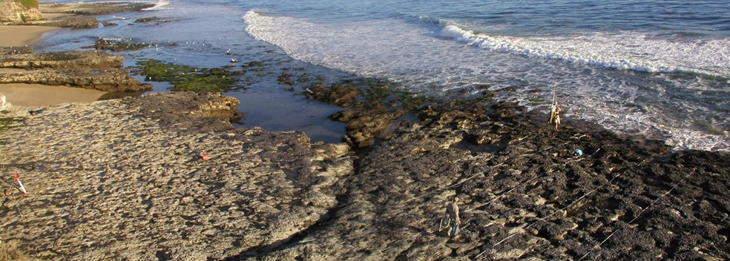 Terrace Point biodiversity survey overview