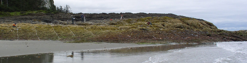 Tow Hill biodiversity survey overview