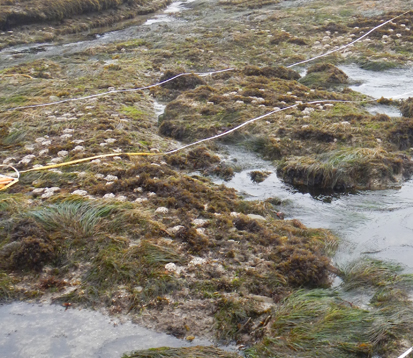 Tranquility Beach long-term monitoring overview