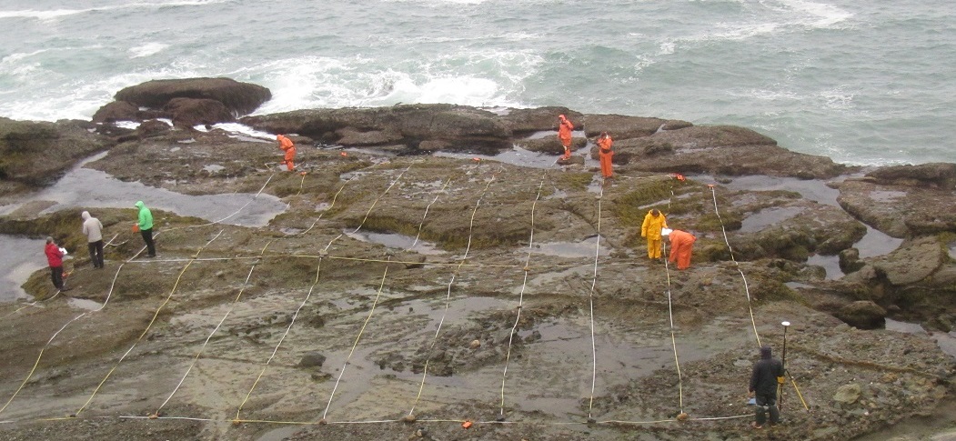 Two Harbors biodiversity survey overview