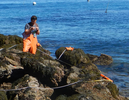 Two Harbors long-term monitoring overview