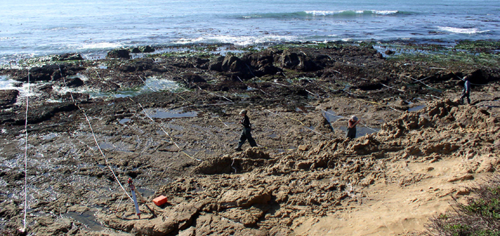 Vista del Mar biodiversity survey overview