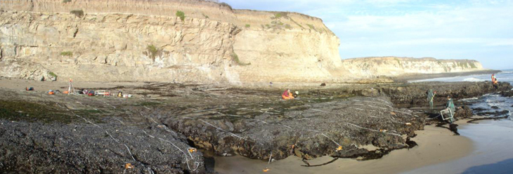 Wilder Ranch biodiversity survey overview